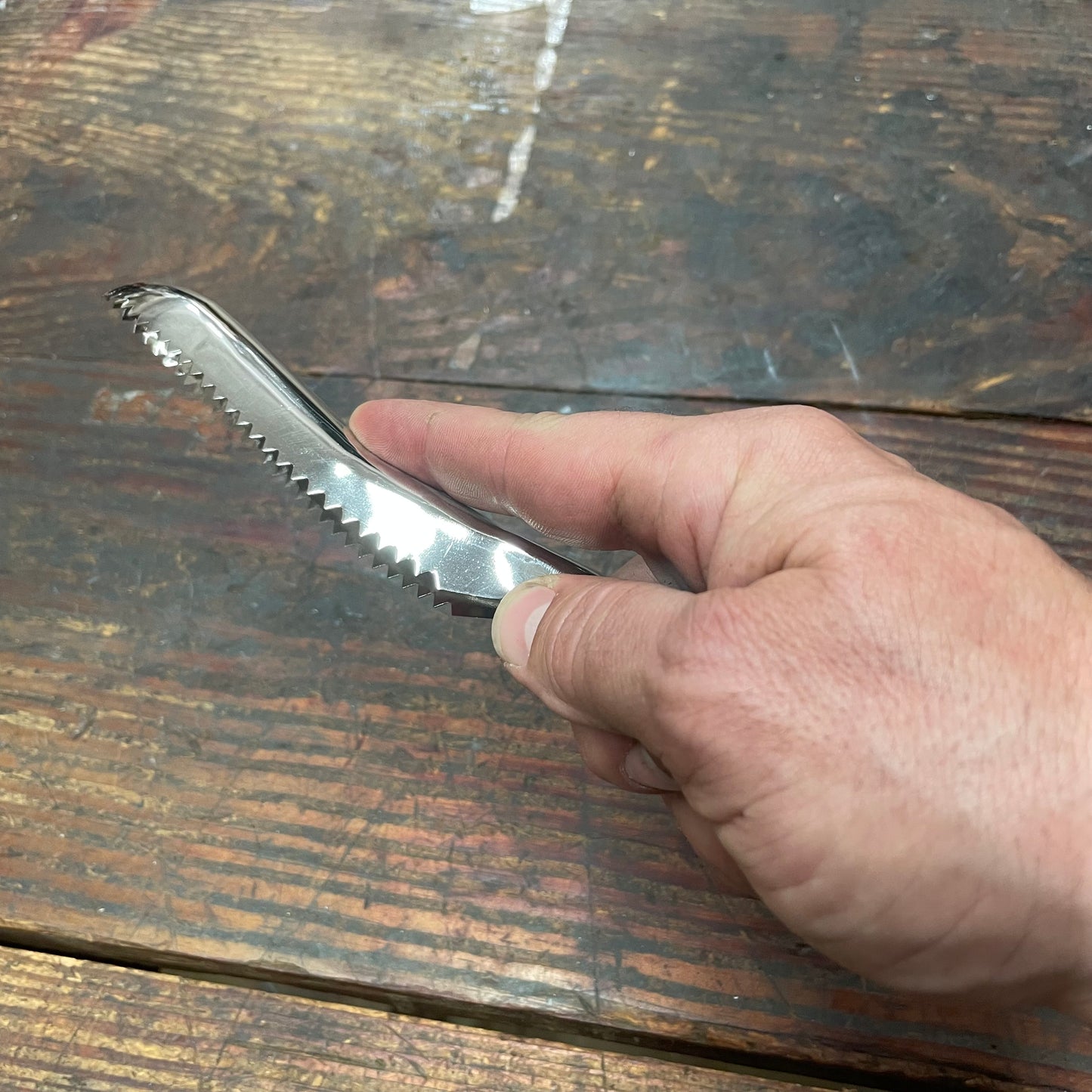 Mound Tool Stainless Steel Fish Scaler (2040)