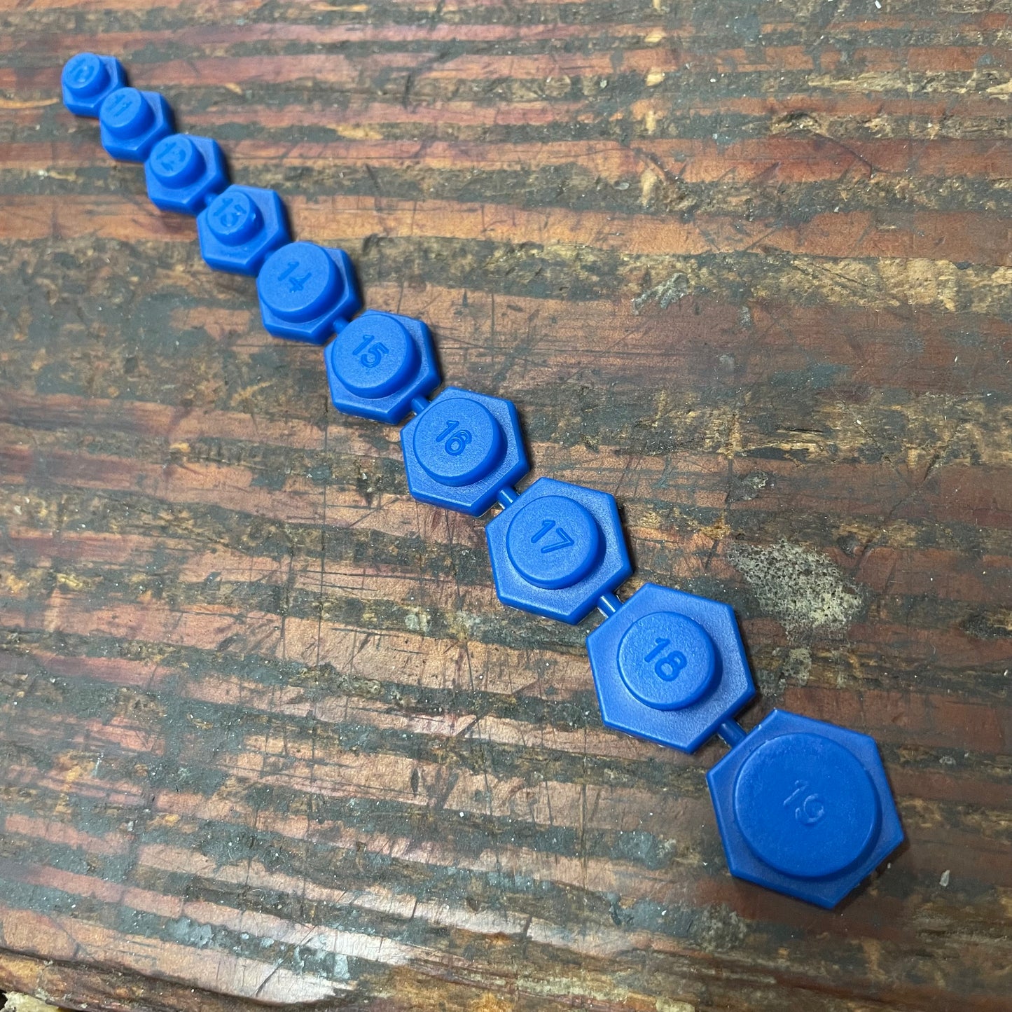 Lang 10 Pc. Magnetic Metric Socket Inserts (521)