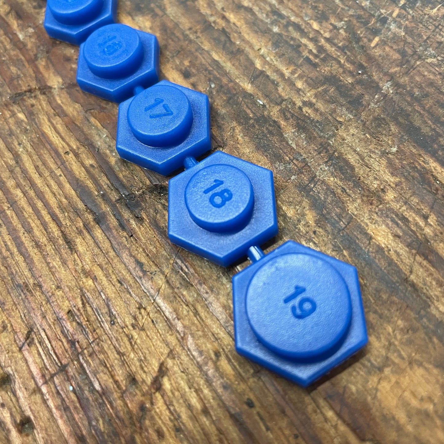 Lang 10 Pc. Magnetic Metric Socket Inserts (521)