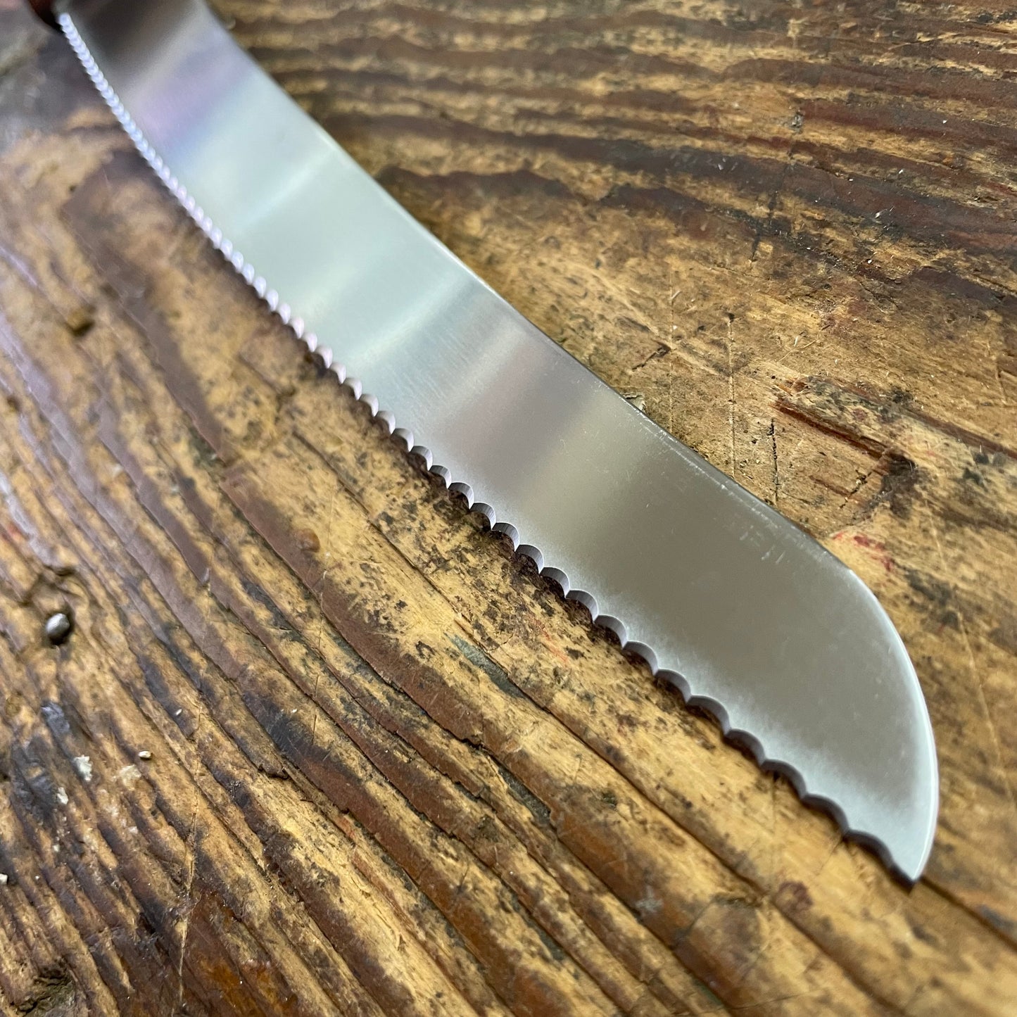 Dexter Russell Traditional 10″ Scalloped Bread Knife (18160)