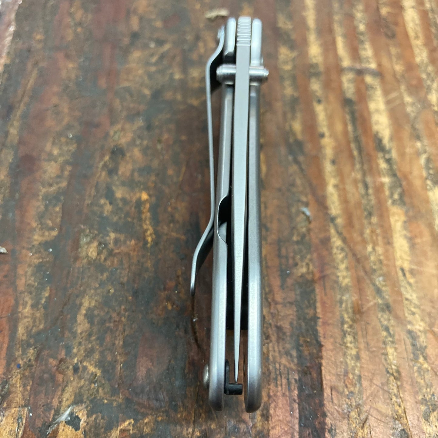 Kershaw Stainless Steel Scallion (KS1620FL)