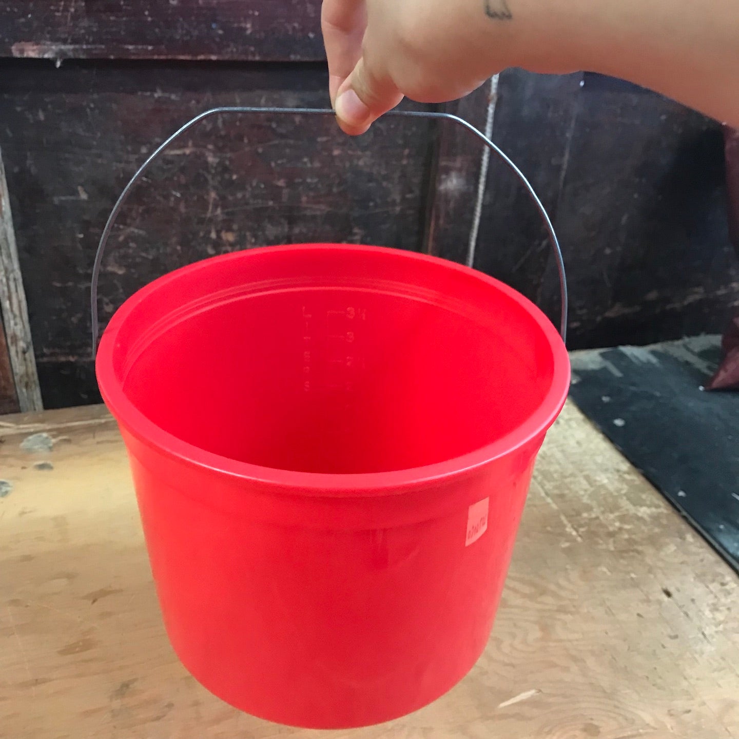 Encore Plastics 5 Qt. Paint Pail (6TWC1)