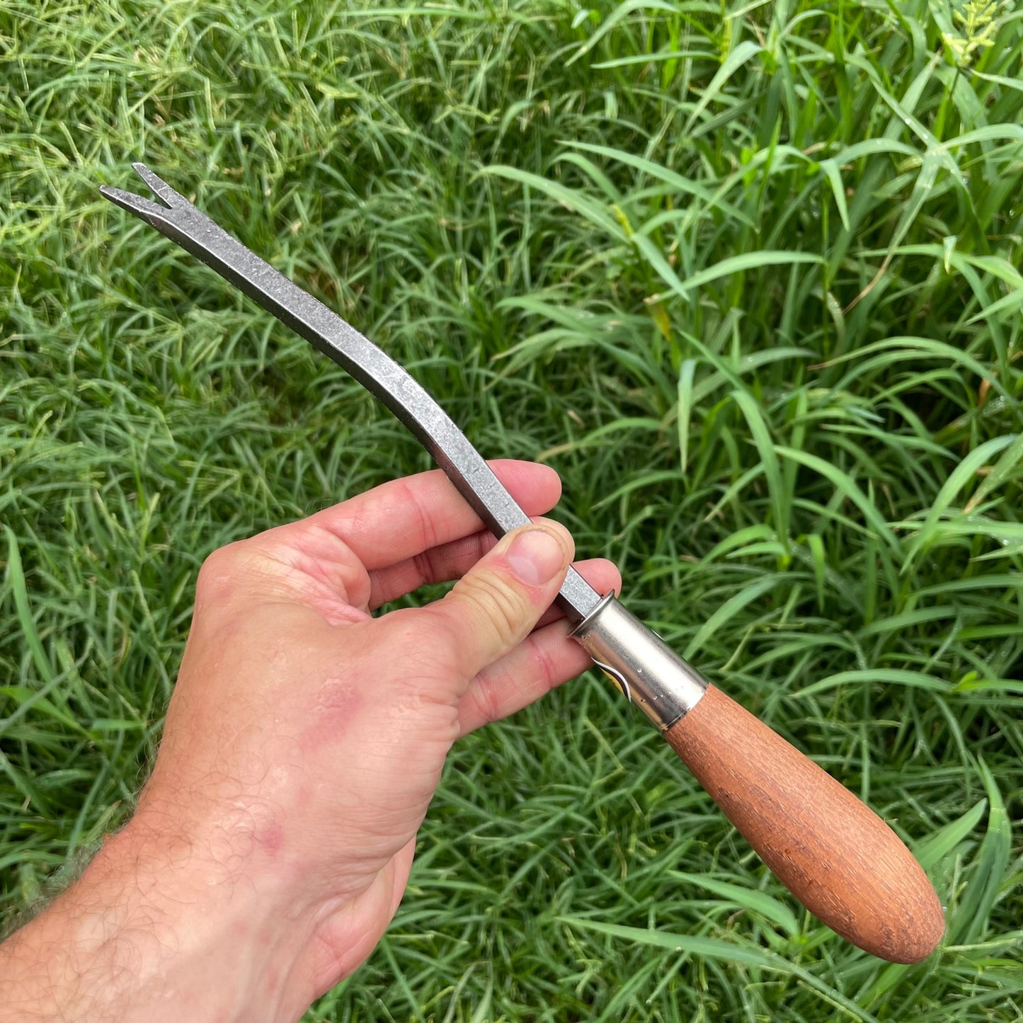 Piginor - Dandelion Weeder