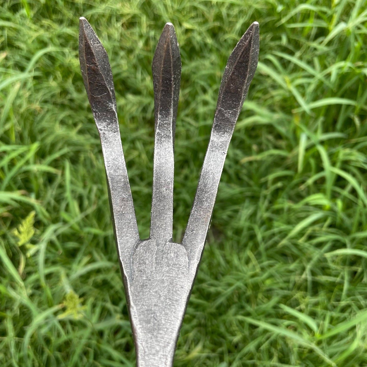 Piginor - Three-Tine Cultivator