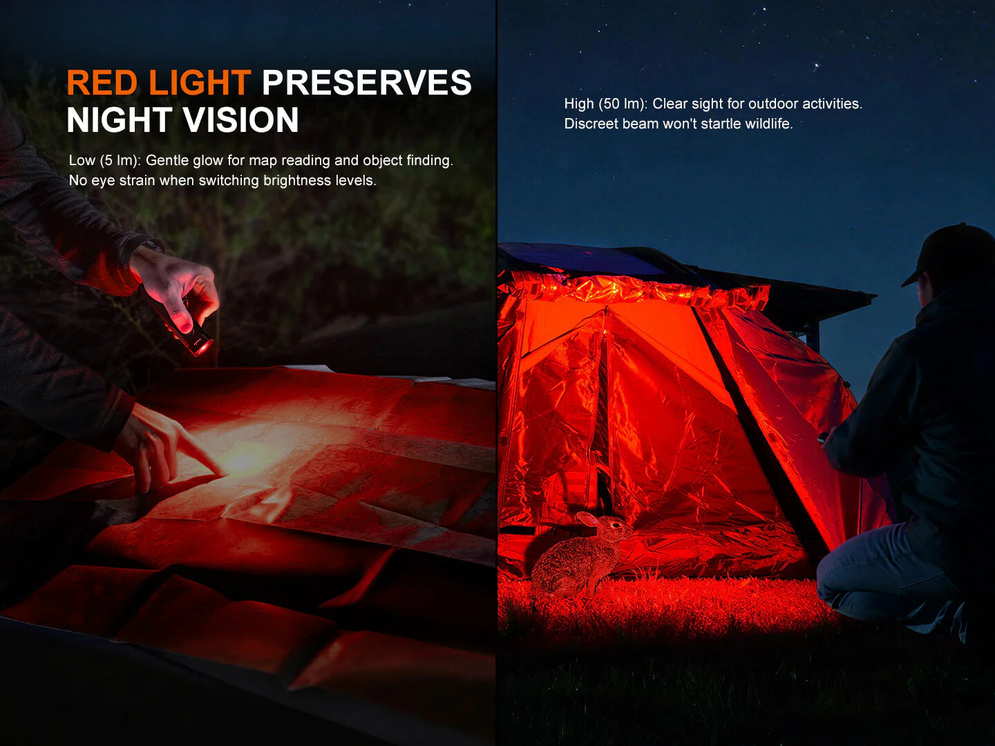 Fenix E08R UE Multi-Light EDC Flashlight With Red Light & Green Laser (E08R-UE)