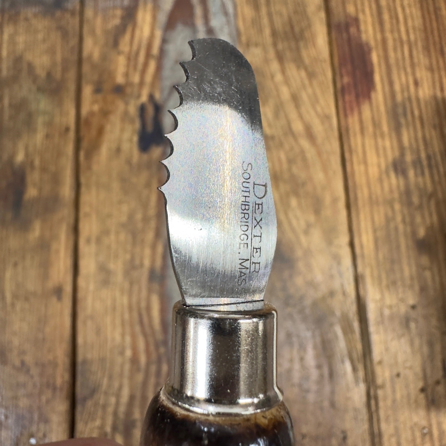 Dexter Stitch Picker Knife (X1SP) – Harry J. Epstein Co.