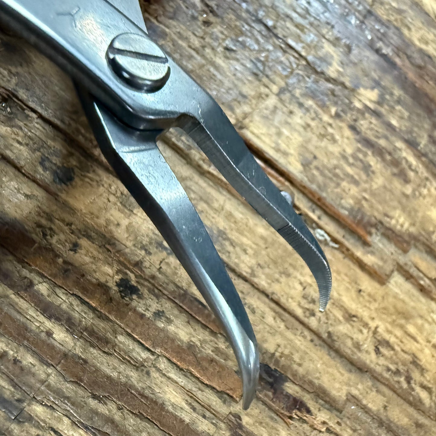 Top Stainless Steel Bent Needle Nose Pliers (NN-100BN)