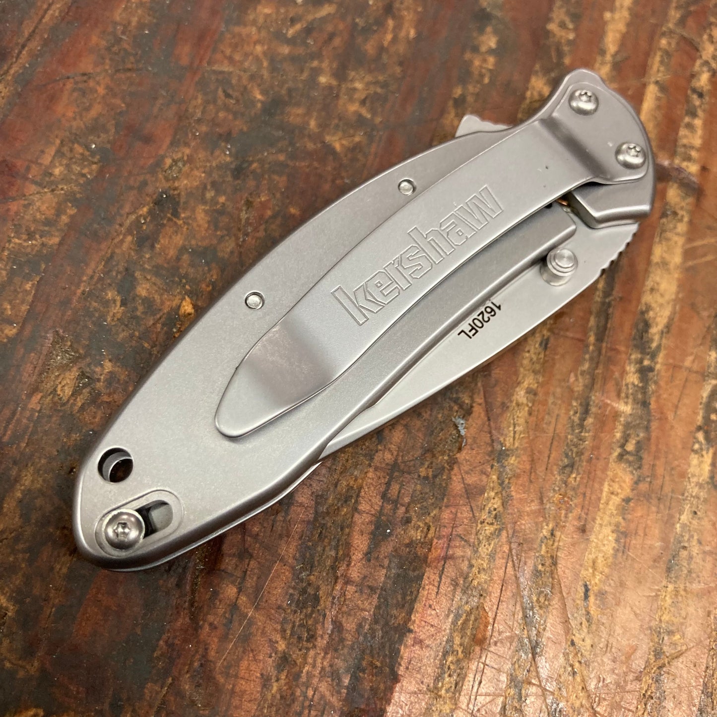Kershaw Stainless Steel Scallion (KS1620FL)
