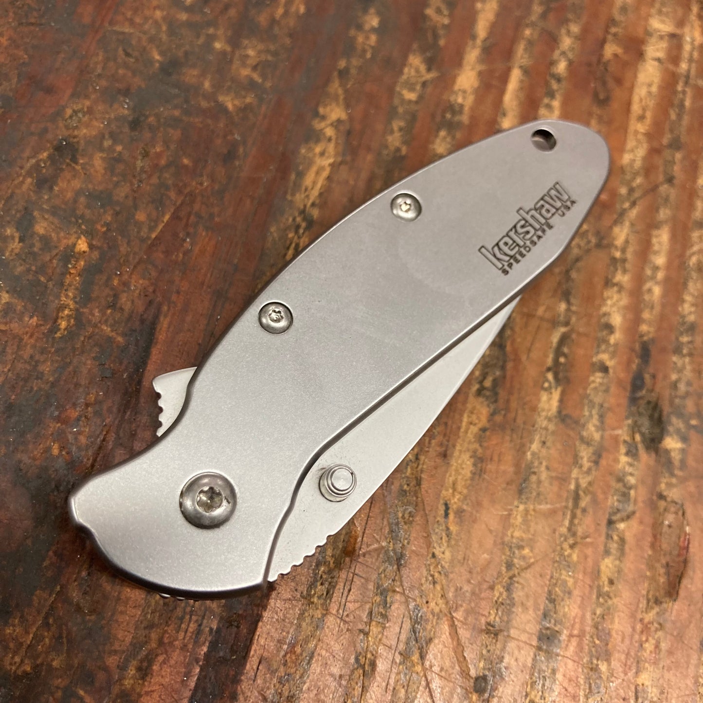 Kershaw Stainless Steel Scallion (KS1620FL)