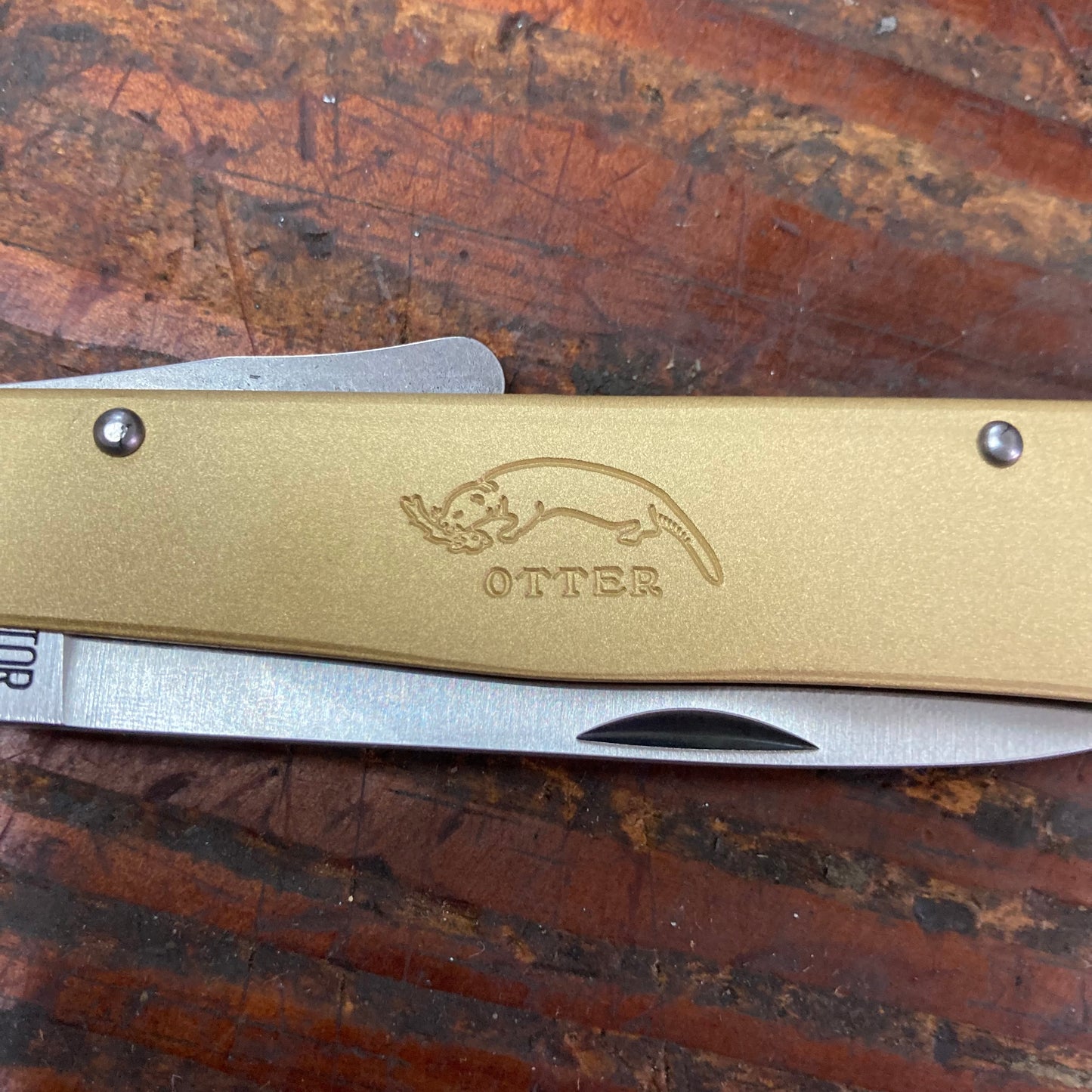 Otter Knives Brass Mercator (L154B)