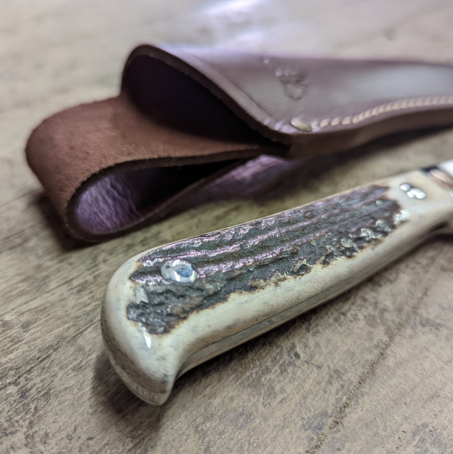 Cudeman Full Tang Stainless Belt Knife w/ Stag Handle (228-C)