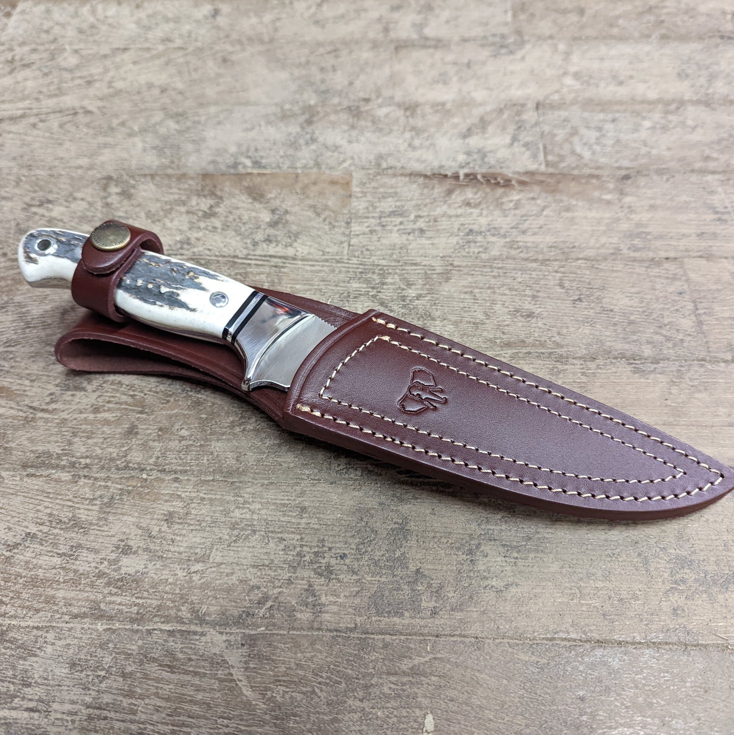 Cudeman Full Tang Hollow Grind Stainless Knife w/ Stag Handle (248-C)