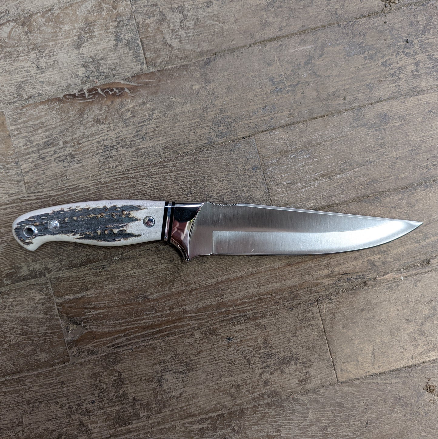 Cudeman Full Tang Hollow Grind Stainless Knife w/ Stag Handle (248-C)
