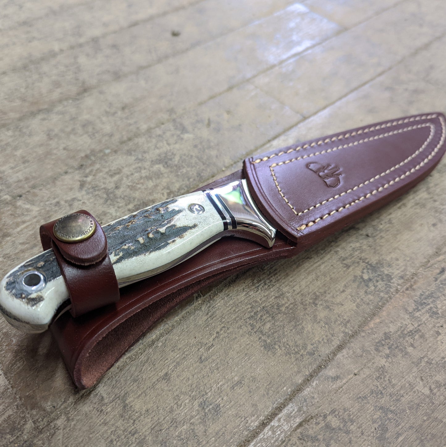 Cudeman Full Tang Hollow Grind Stainless Knife w/ Stag Handle (248-C)