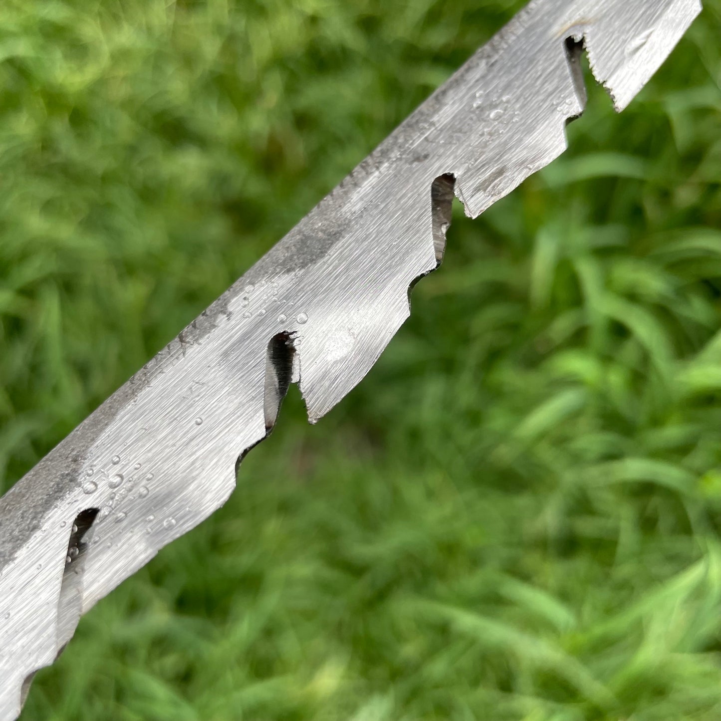 Piginor - Root Saw
