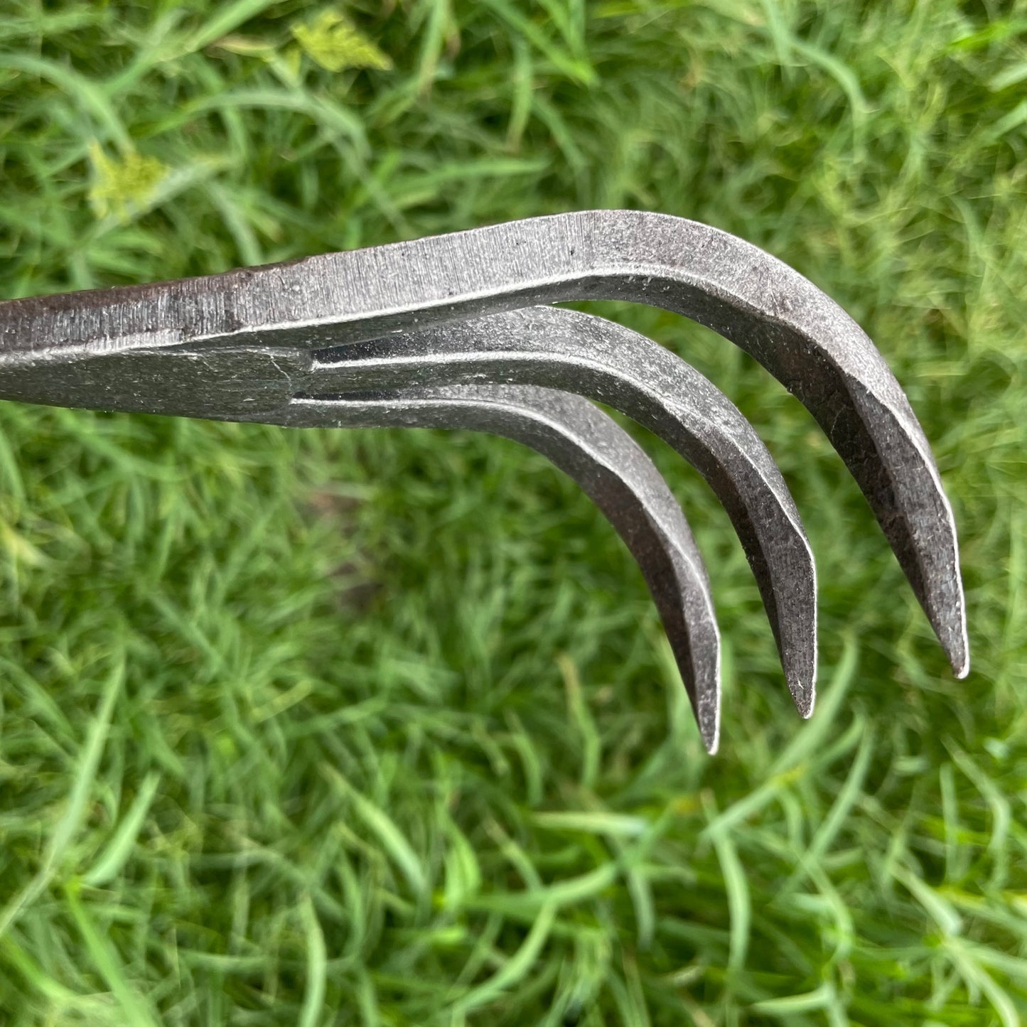 Piginor - Three-Tine Cultivator